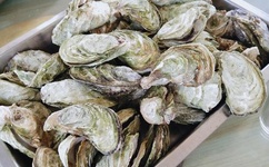 男人添女人囗交做爰的技巧